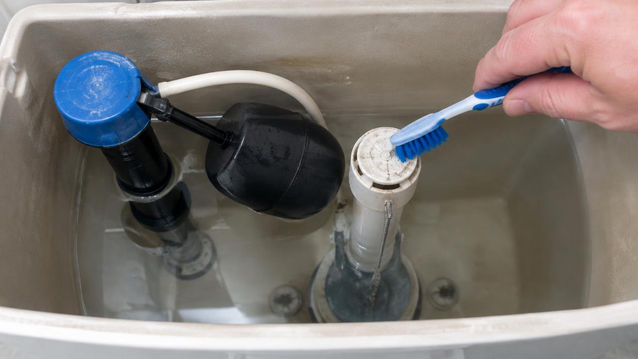 Toilet fill valve and float inside a cistern